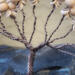 Wire wrapped tree of life with natural wood beads, bohemian home accent.